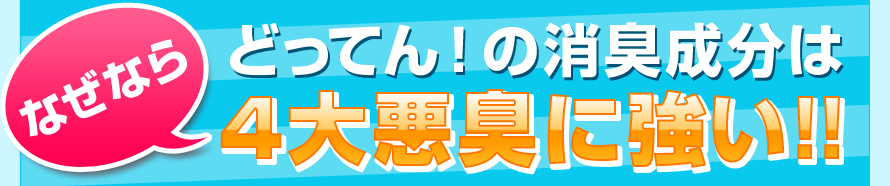 ʤʤ顢ɤäƤ󡪤ξýʬϣ簭˶!!