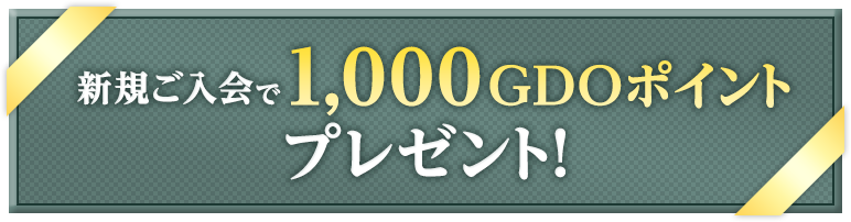 1,000GDOݥȥץ쥼ȡ