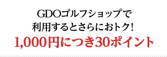 GDOեåפѤȤˤȥ1,000ߤˤĤ30ݥ