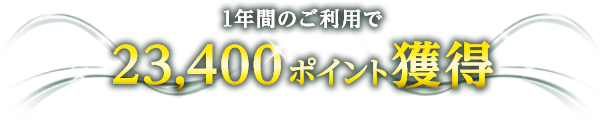 1ǯ֤ΤѤ23,400ݥȳ