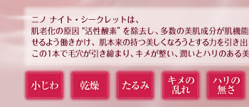 300�ĸ��� �֥˥� �ʥ��ȡ���������åȡ� 7���֥ȥ饤����