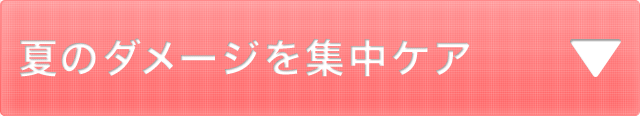 ƤΥ᡼楱